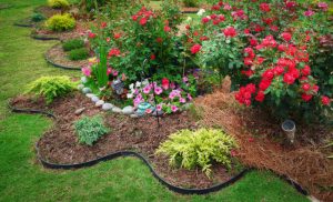 Front Yard Landscaping
