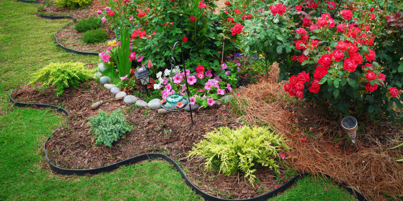 Front Yard Landscaping in Concord, North Carolina