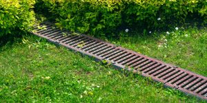 What You Need to Know About Landscape Drainage
