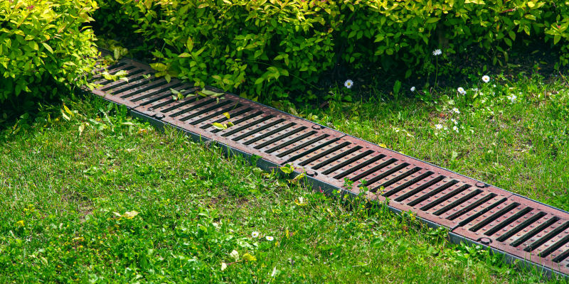 What You Need to Know About Landscape Drainage