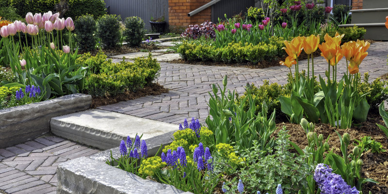 Landscape Lighting in Huntersville, North Carolina
