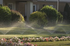 Reasons to Invest in an Irrigation System