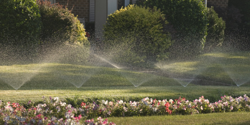 Reasons to Invest in an Irrigation System