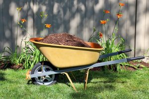Why Garden Mulch Matters