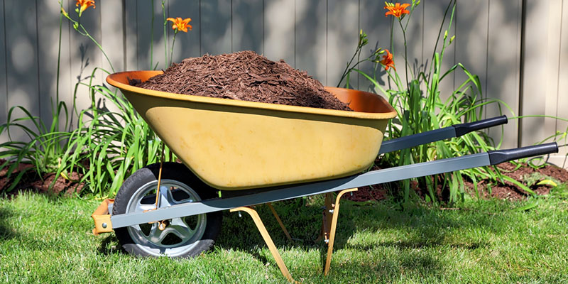 Why Garden Mulch Matters