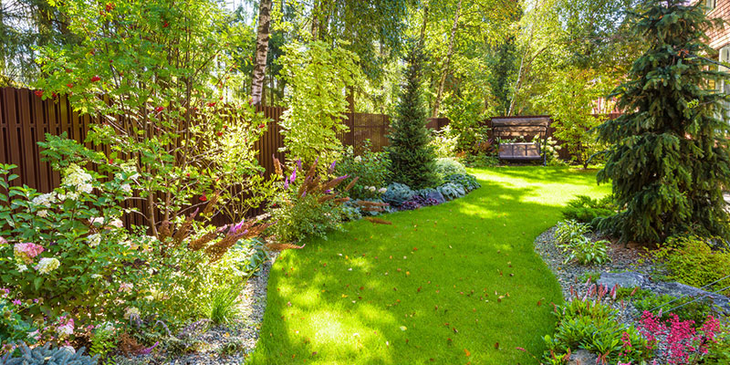 5 Backyard Landscaping Trends We Love