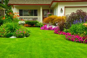 3 Front Yard Landscaping Tips to Level Up Your Curb Appeal