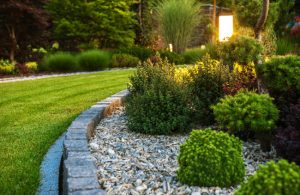 What You Can Learn from Landscape Consulting