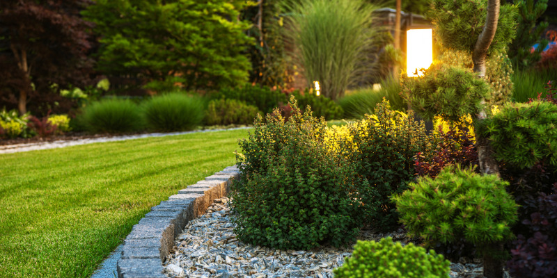 What You Can Learn from Landscape Consulting