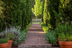 Three Landscape Design Ideas to Inspire You