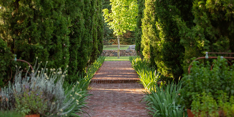 Three Landscape Design Ideas to Inspire You