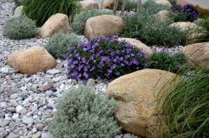 Creative Ways to Use Rock Mulch