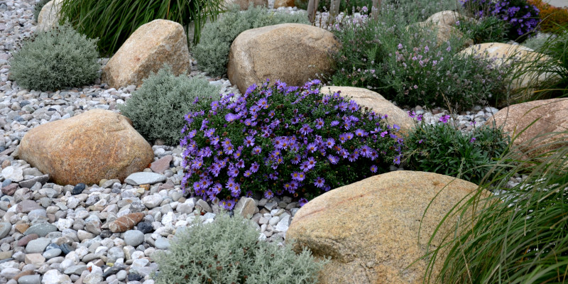 Creative Ways to Use Rock Mulch