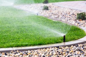 The Importance of Proper Irrigation Installation